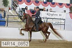 14r14_0852 proof