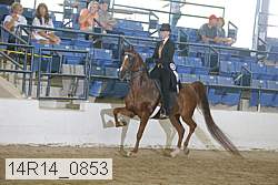 14r14_0853 proof