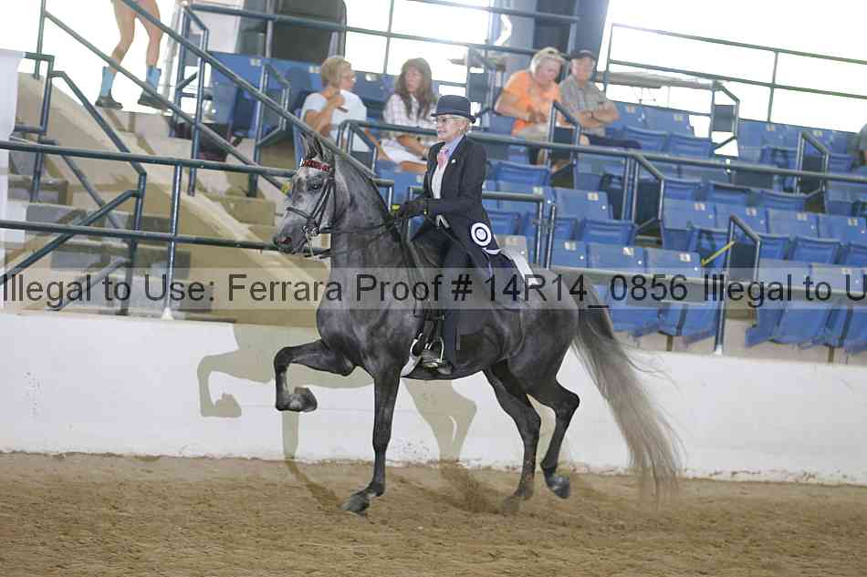 Proof 14r14_0856