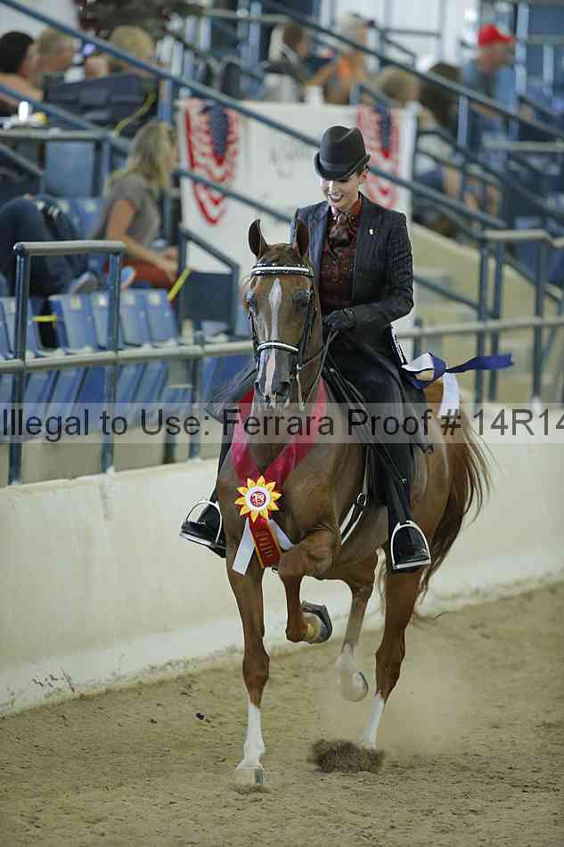 Proof 14r14_0862