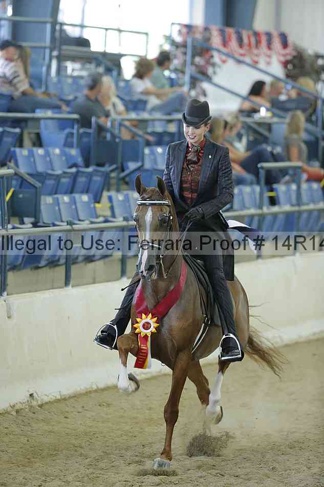 Proof 14r14_0863