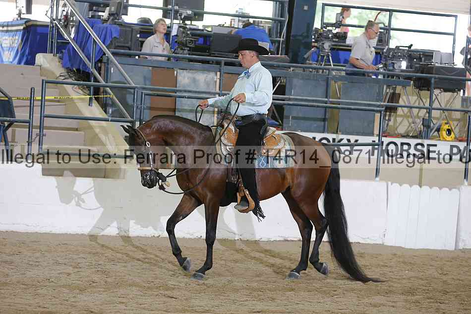 Proof 14r14_0871