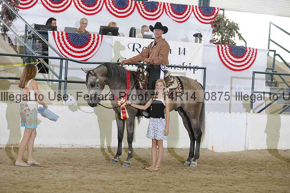 Proof 14r14_0875