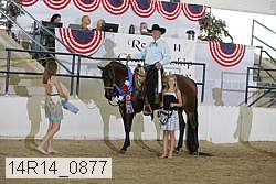 14r14_0877 proof
