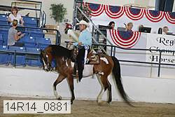 14r14_0881 proof