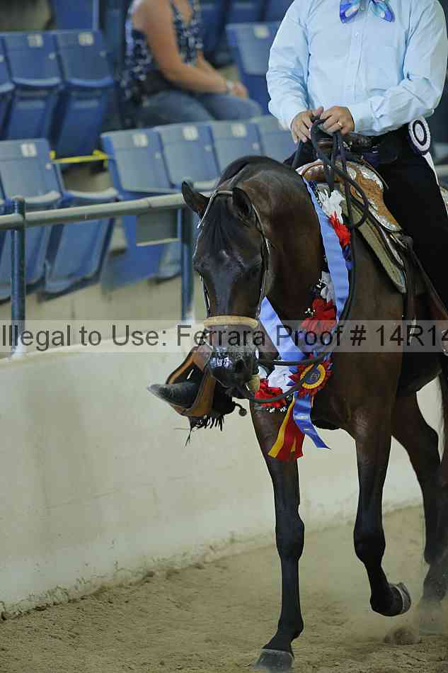Proof 14r14_0903