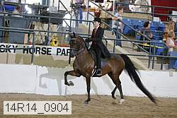 14r14_0904 proof