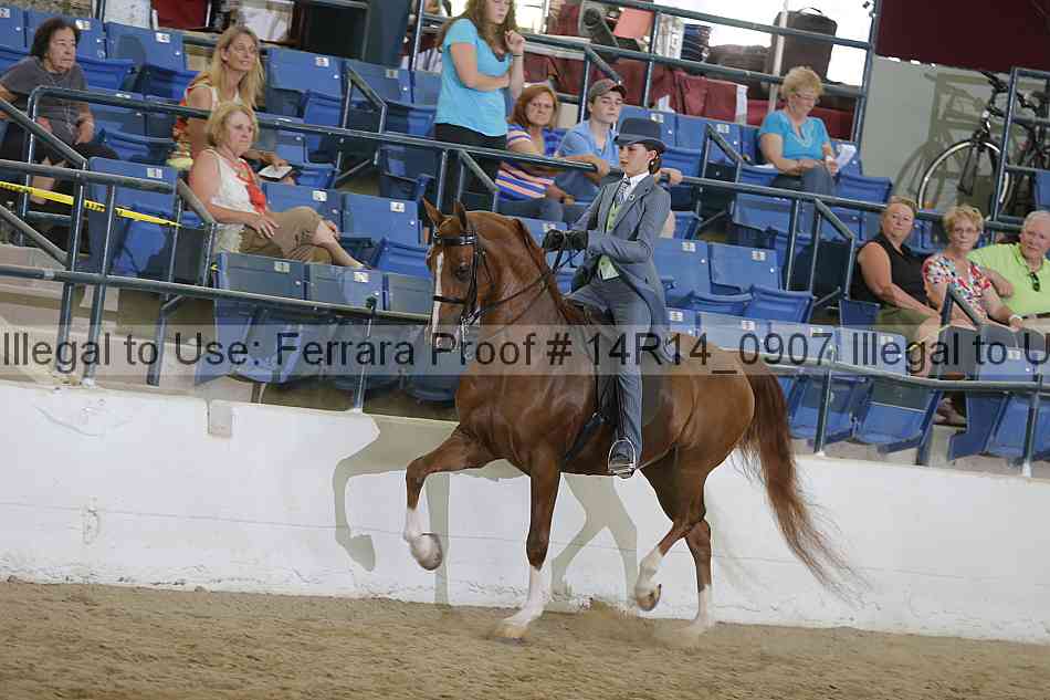 Proof 14r14_0907