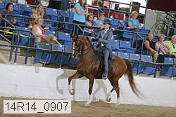 14r14_0907 proof
