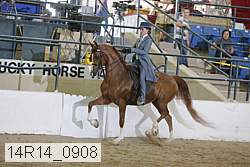 14r14_0908 proof
