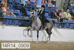 14r14_0909 proof
