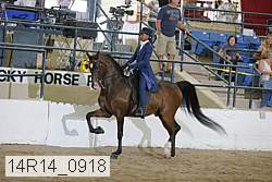 14r14_0918 proof