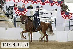 14r14_0954 proof