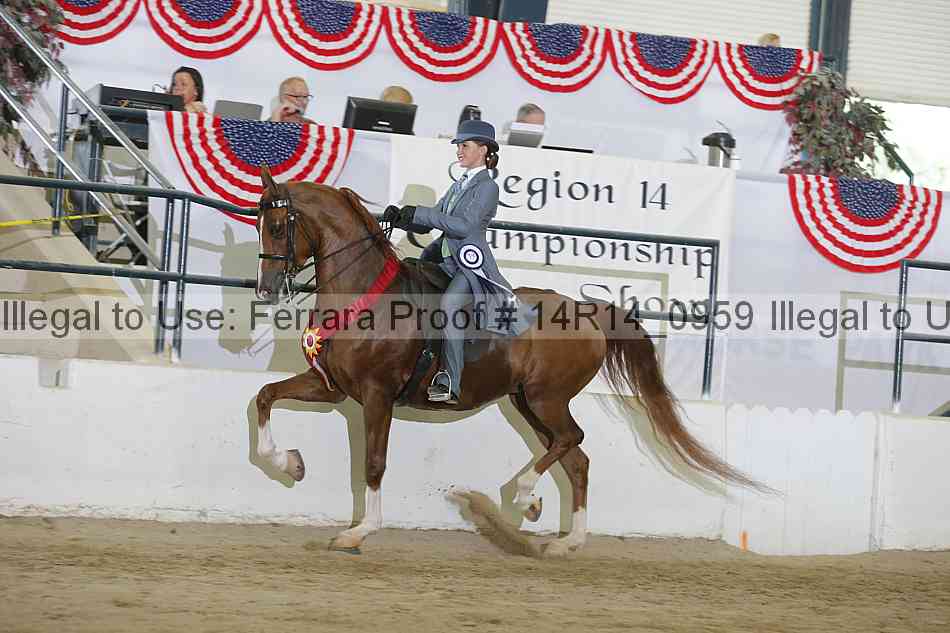 Proof 14r14_0959