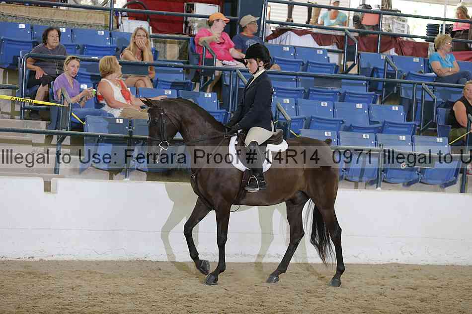 Proof 14r14_0971