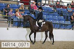 14r14_0971 proof