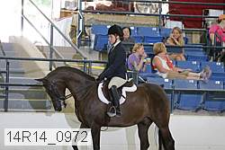 14r14_0972 proof
