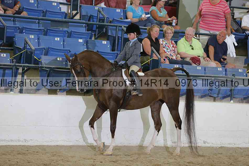 Proof 14r14_0973
