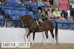 14r14_0973 proof