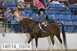 14r14_0974 proof