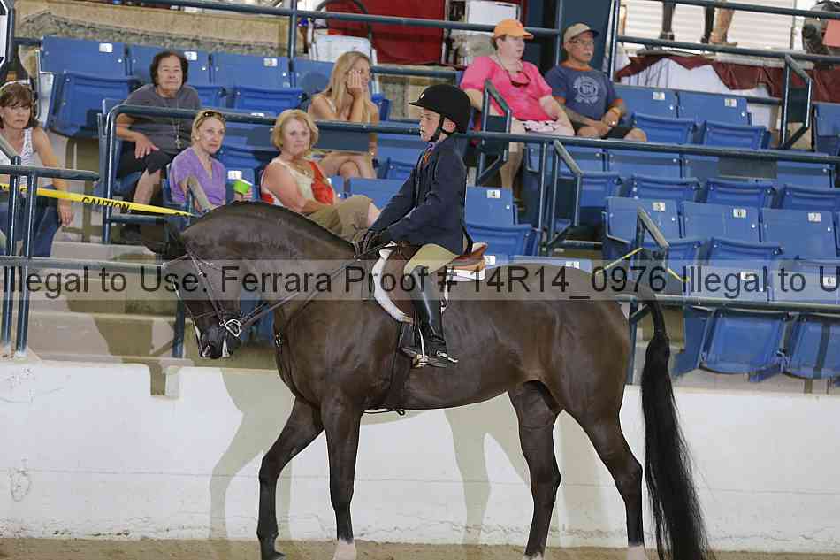 Proof 14r14_0976