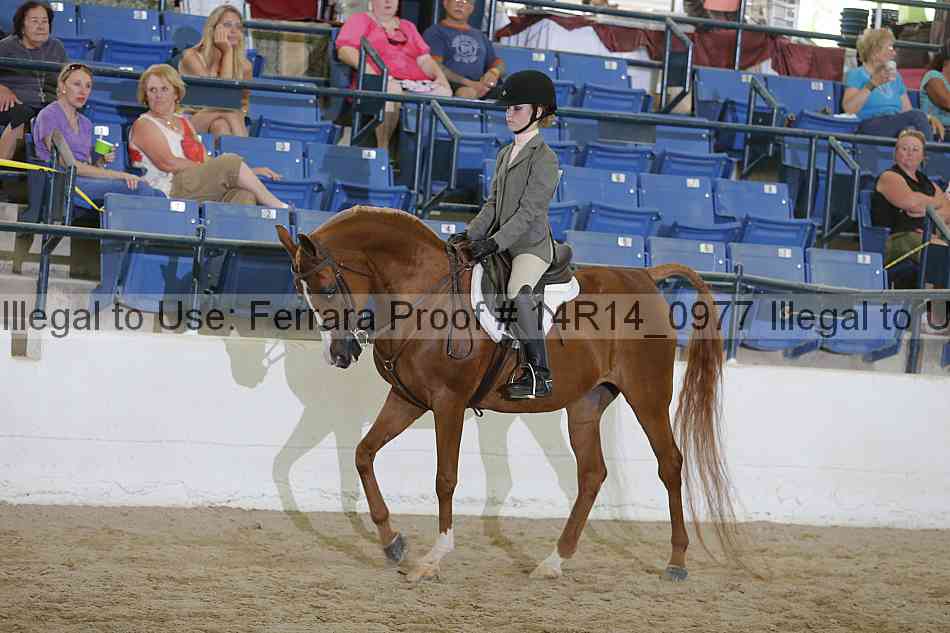 Proof 14r14_0977