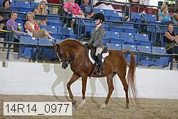 14r14_0977 proof