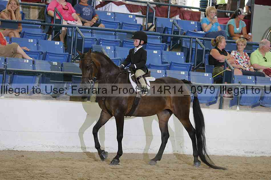 Proof 14r14_0979
