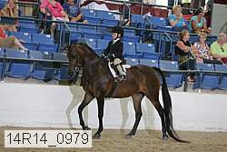14r14_0979 proof
