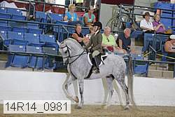 14r14_0981 proof