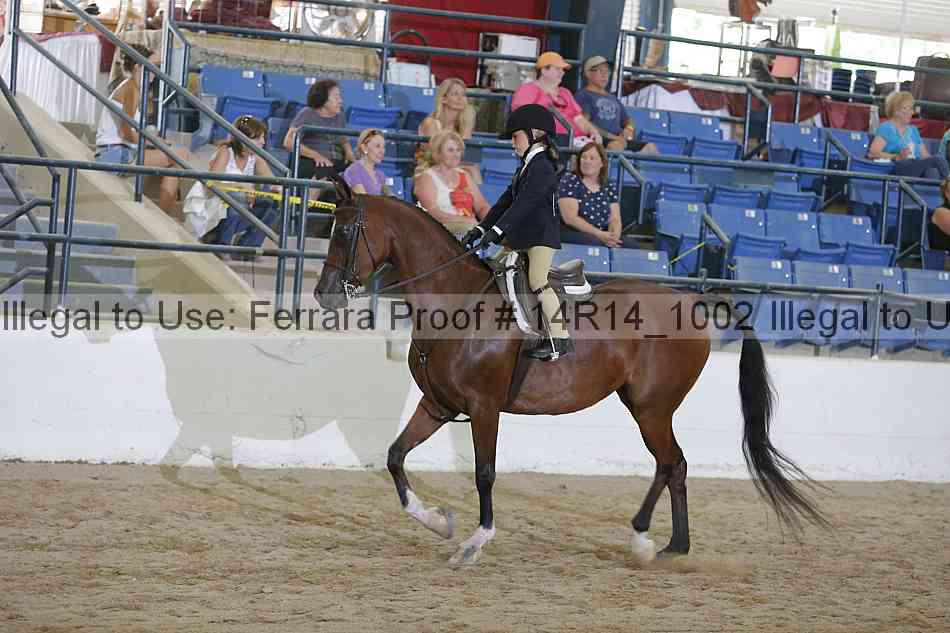 Proof 14r14_1002