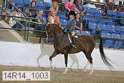 14r14_1003 proof