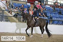 14r14_1004 proof