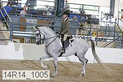 14r14_1005 proof