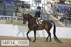 14r14_1006 proof
