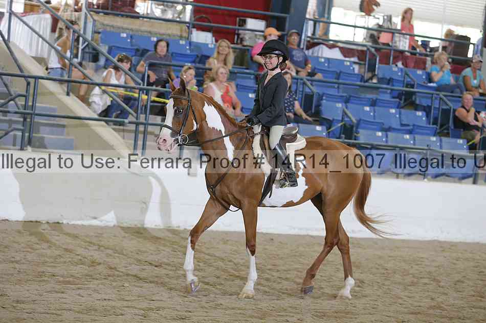 Proof 14r14_1007