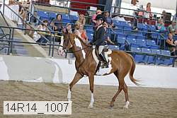 14r14_1007 proof