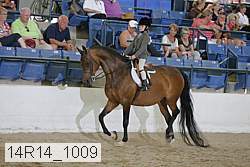 14r14_1009 proof