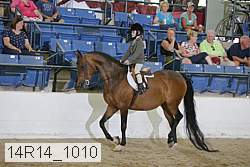 14r14_1010 proof