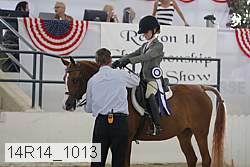 14r14_1013 proof
