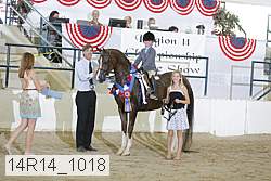 14r14_1018 proof