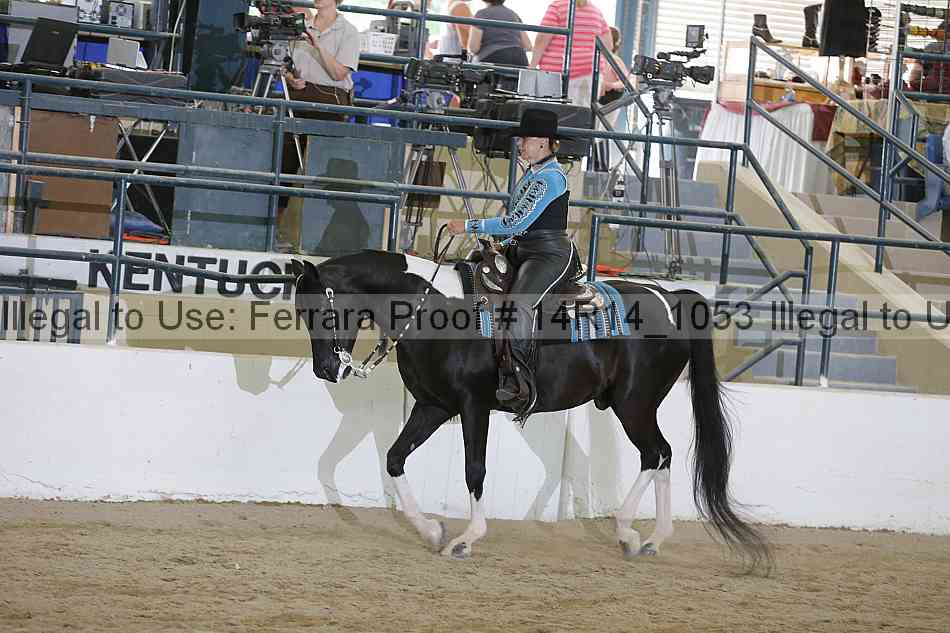 Proof 14r14_1053