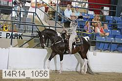 14r14_1056 proof