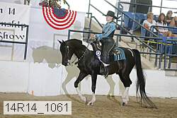 14r14_1061 proof