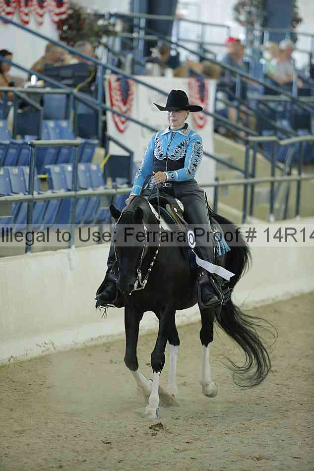 Proof 14r14_1065