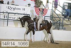 14r14_1066 proof