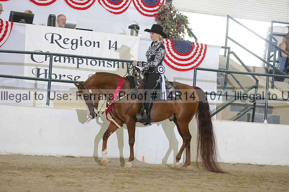 Proof 14r14_1071