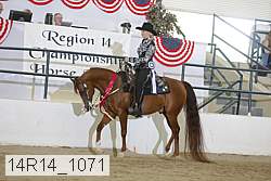 14r14_1071 proof
