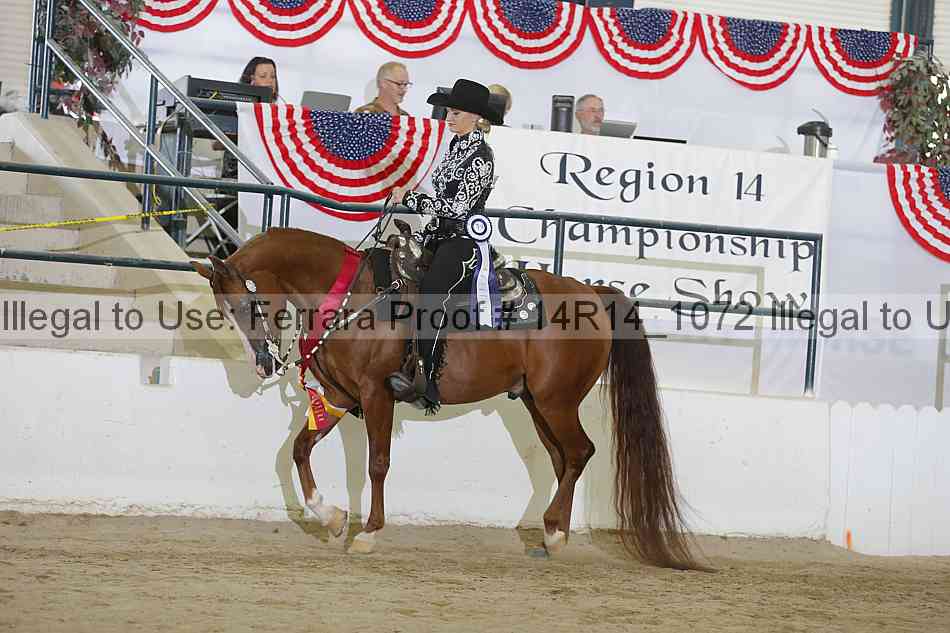 Proof 14r14_1072