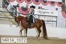 14r14_1072 proof